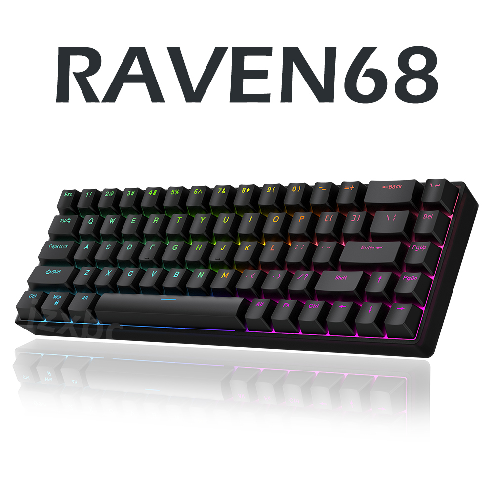 Gaming Keyboard Half - Raven68 คีย์บอร์ดแบบมีสายพร้อมสวิตช์แม่เหล็กแบบถอดเปลี่ยนได้ 8K Return Rate Custom